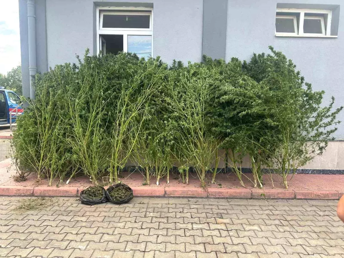 inegolde uyusturucu operasyonu QbSV9y5x