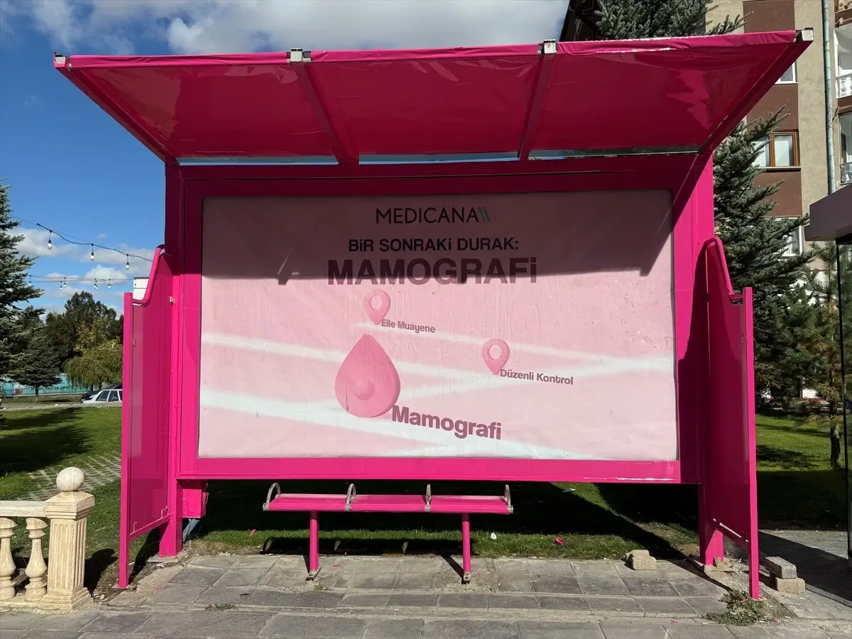 sivasta meme kanseri farkindalik ayi icin duraklar pembe renklendirildi SHL28XxT.jpg