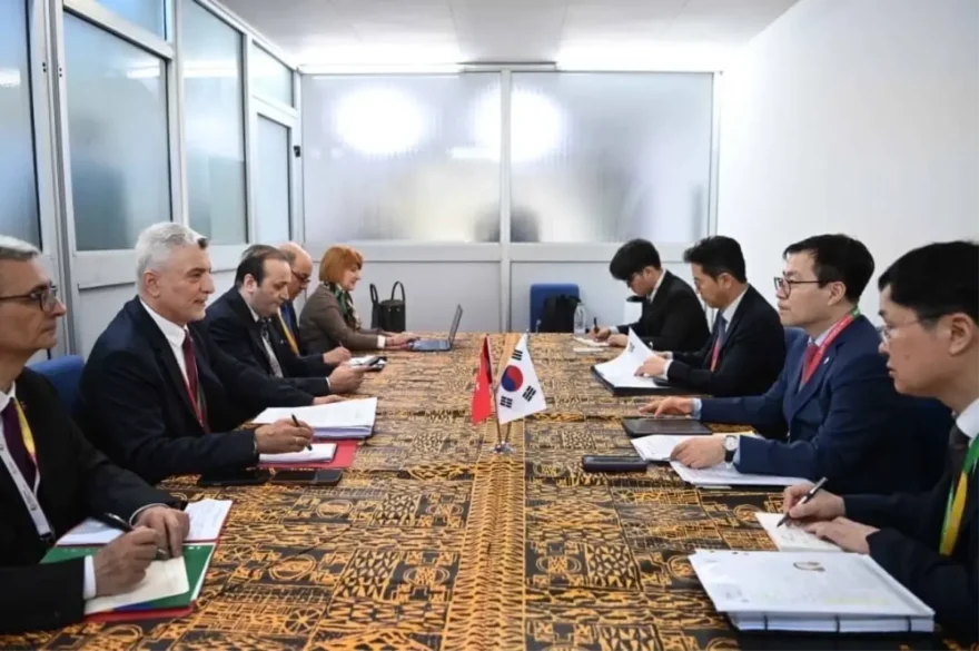 Türkiye ve Kore İlişkilerinde Yeni Dönem: Ticaret Görüşmesi