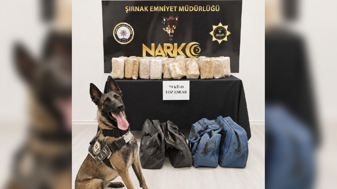 Haber gorseli