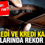 Vatandasin borcla sinavi artisin nedeni ne NA1WspAQ